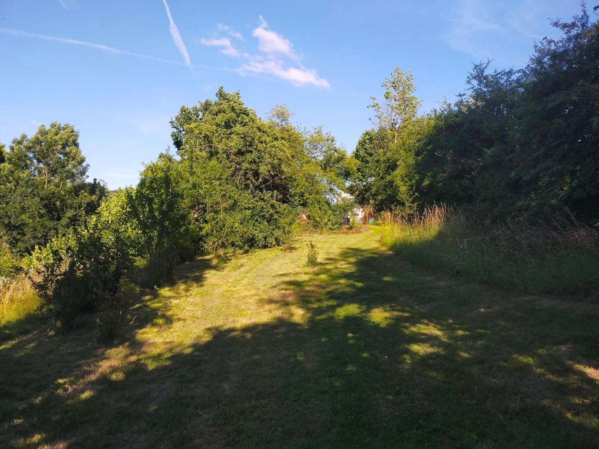 Tiny Messancy, Une Immersion Dans La Nature ! Buitenkant foto